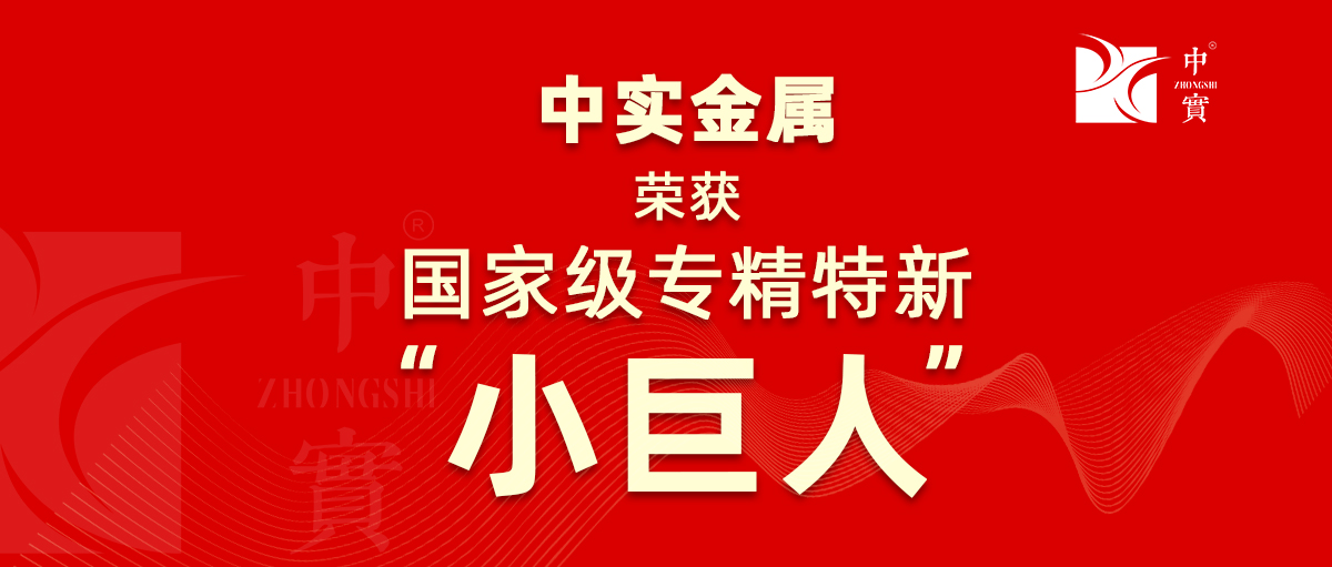【喜信】中实金属获评为广东省第六批专精特新“小伟人”企业